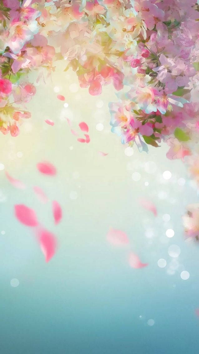 Whatsapp Chat Falling Cherry Blossom Petals Wallpaper