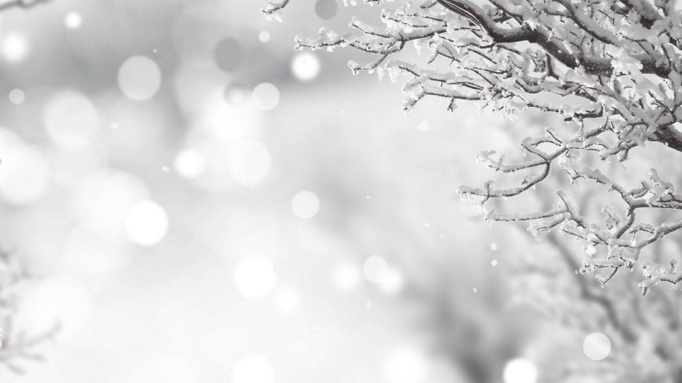 White Christmas In Winter Wallpaper