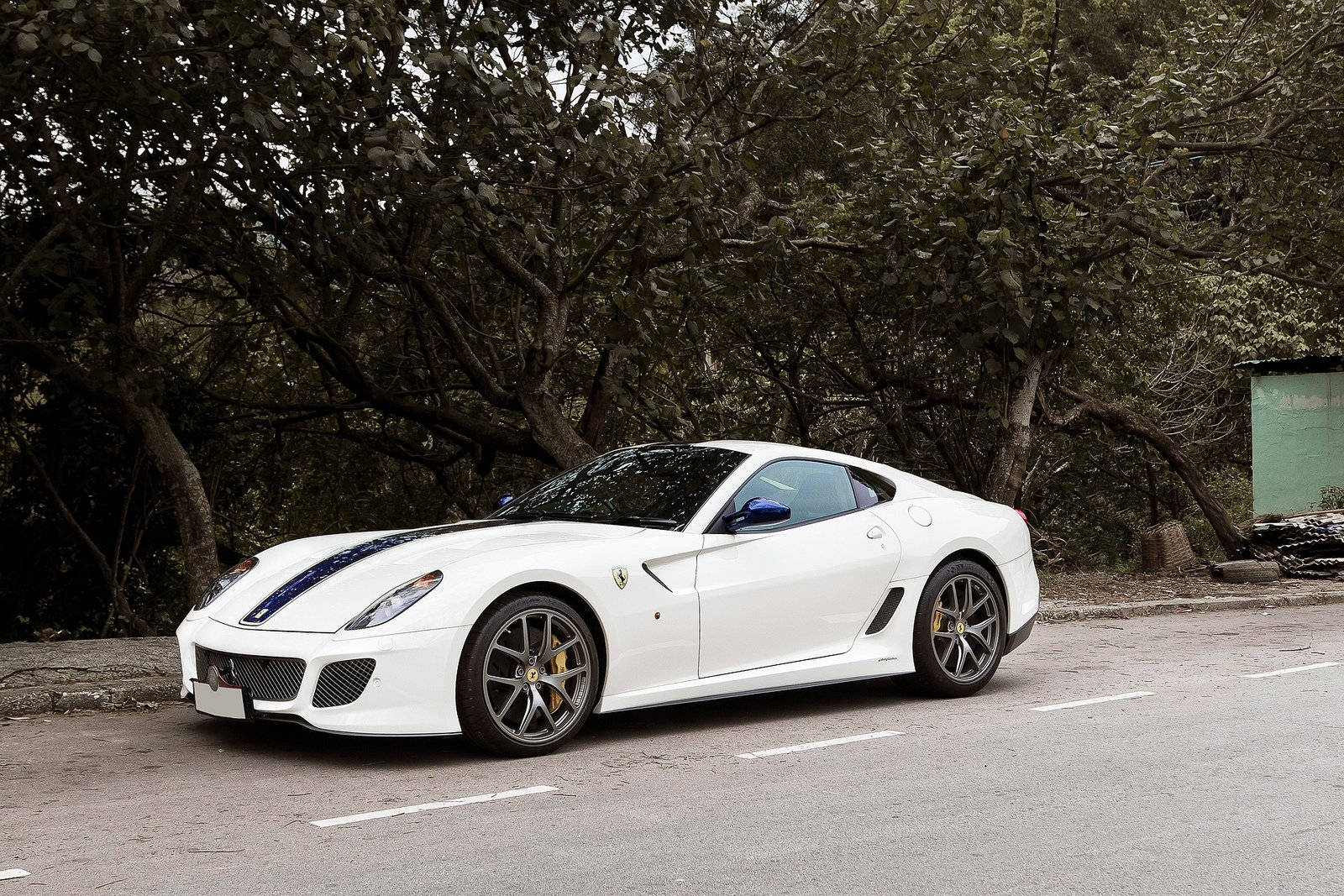 White Ferrari With Spooky Trees Wallpaper