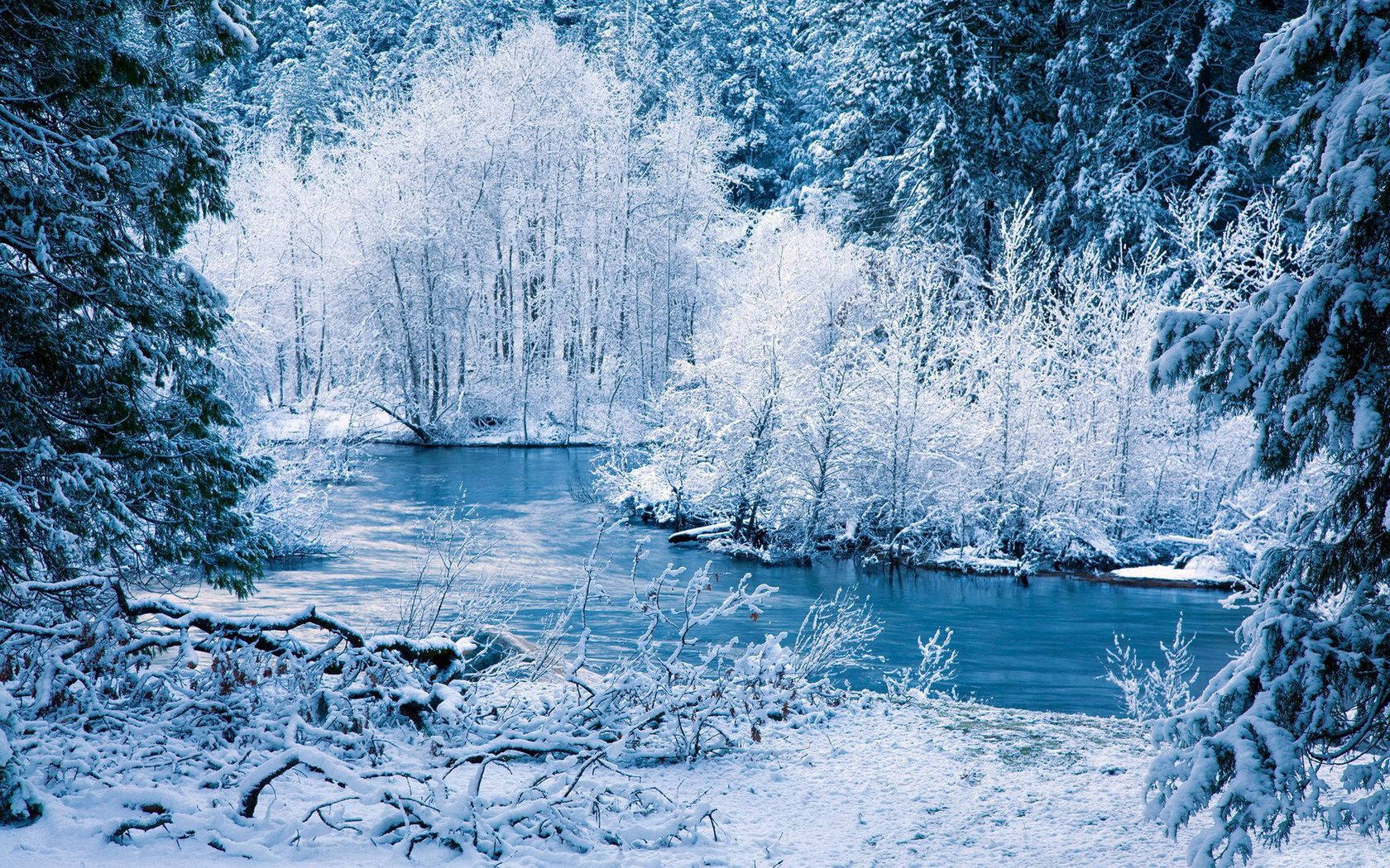 White Winter Riverside Wallpaper