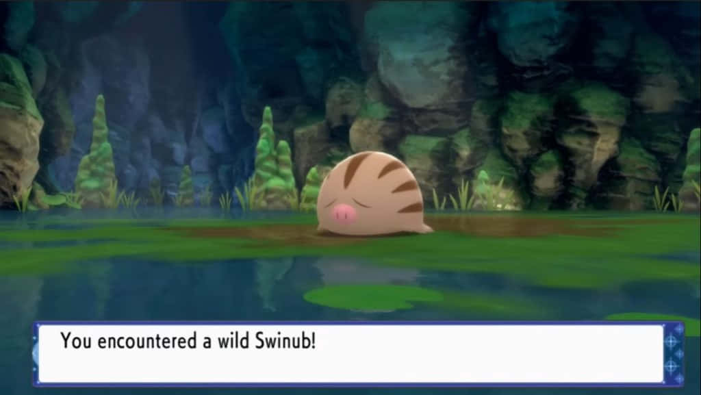 Wild Swinub Wallpaper