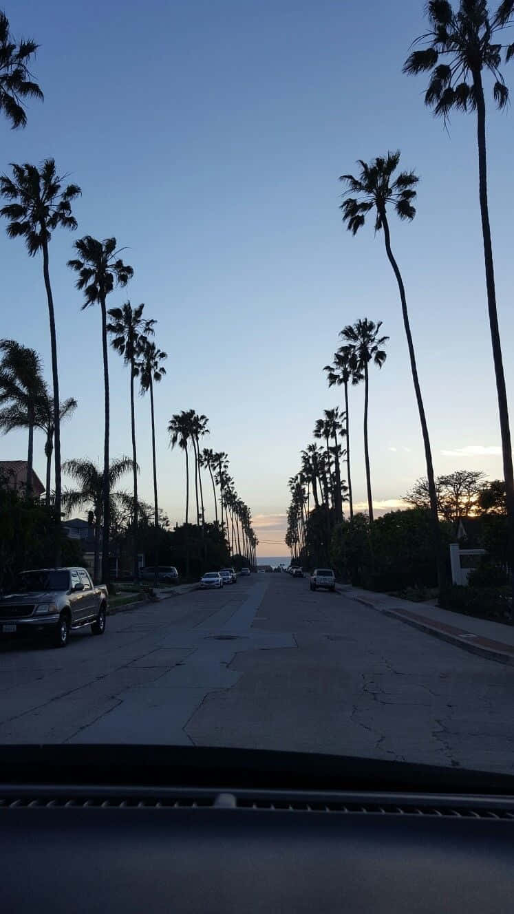 Window View In San Diego Iphone Wallpaper