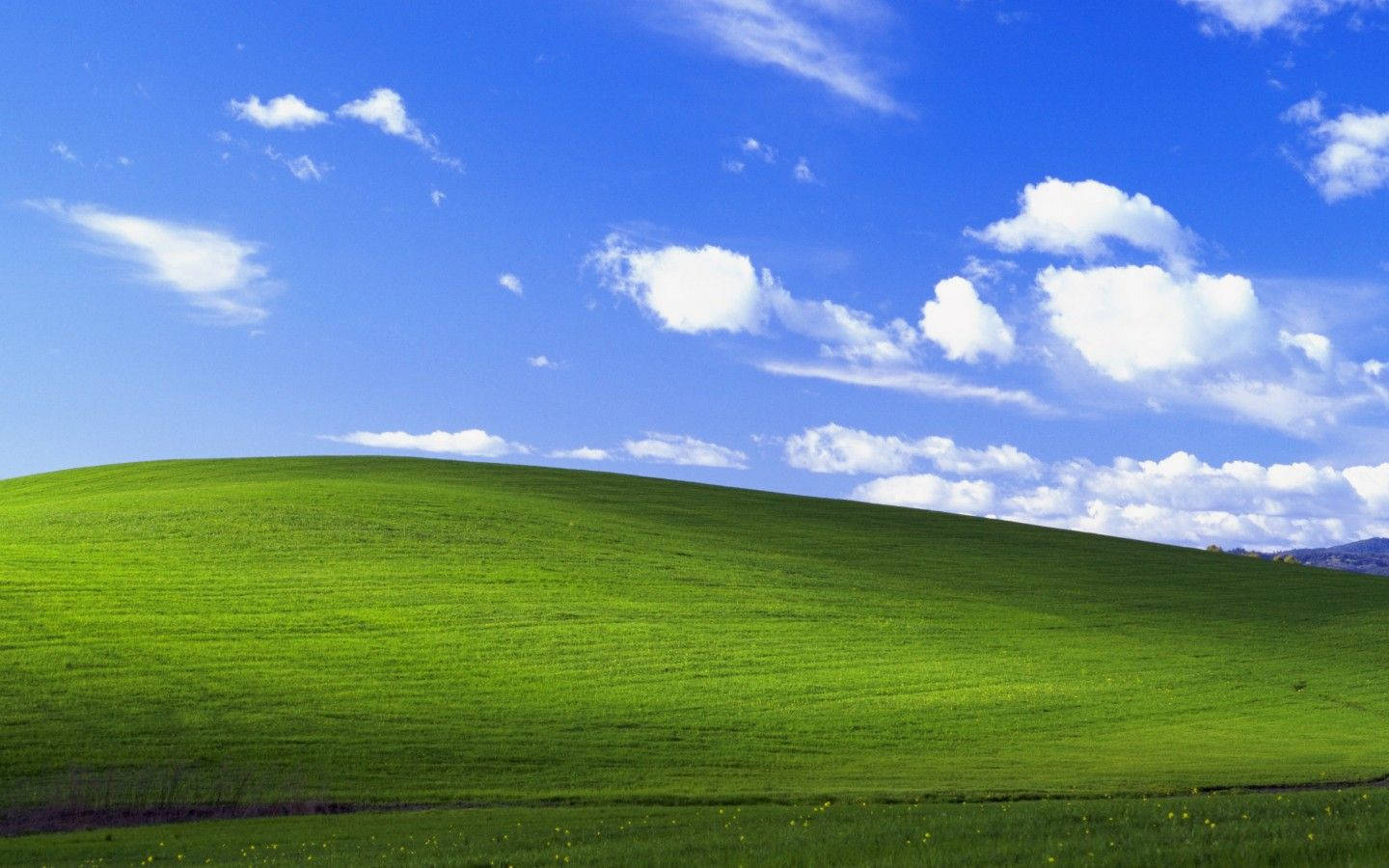 Windows 8 Art Wallpaper