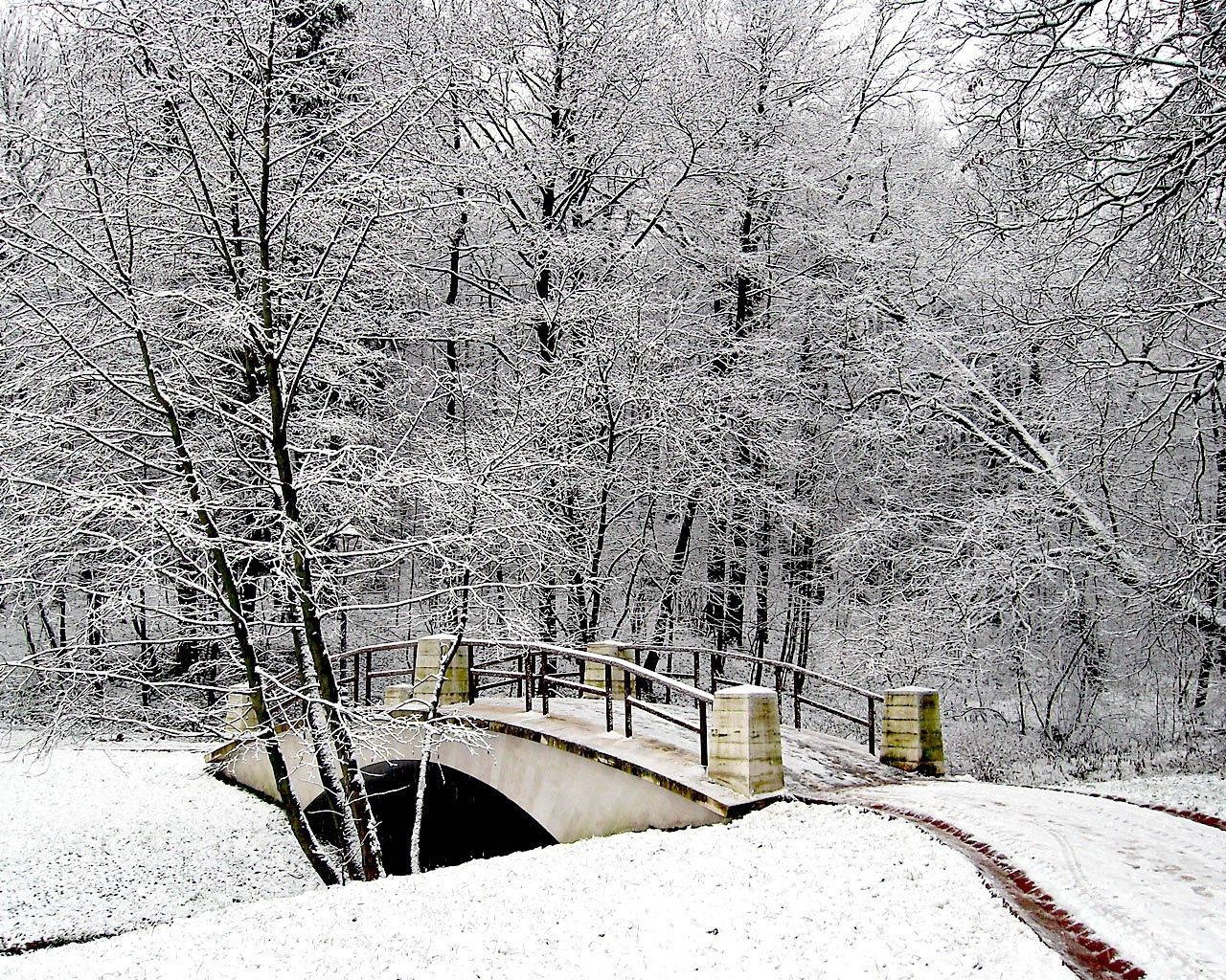 Winter Bridge Park Wallpaper