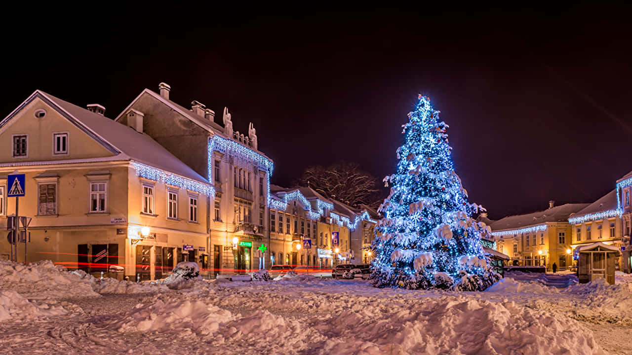 Winter Christmas Blue Lights Desktop Wallpaper