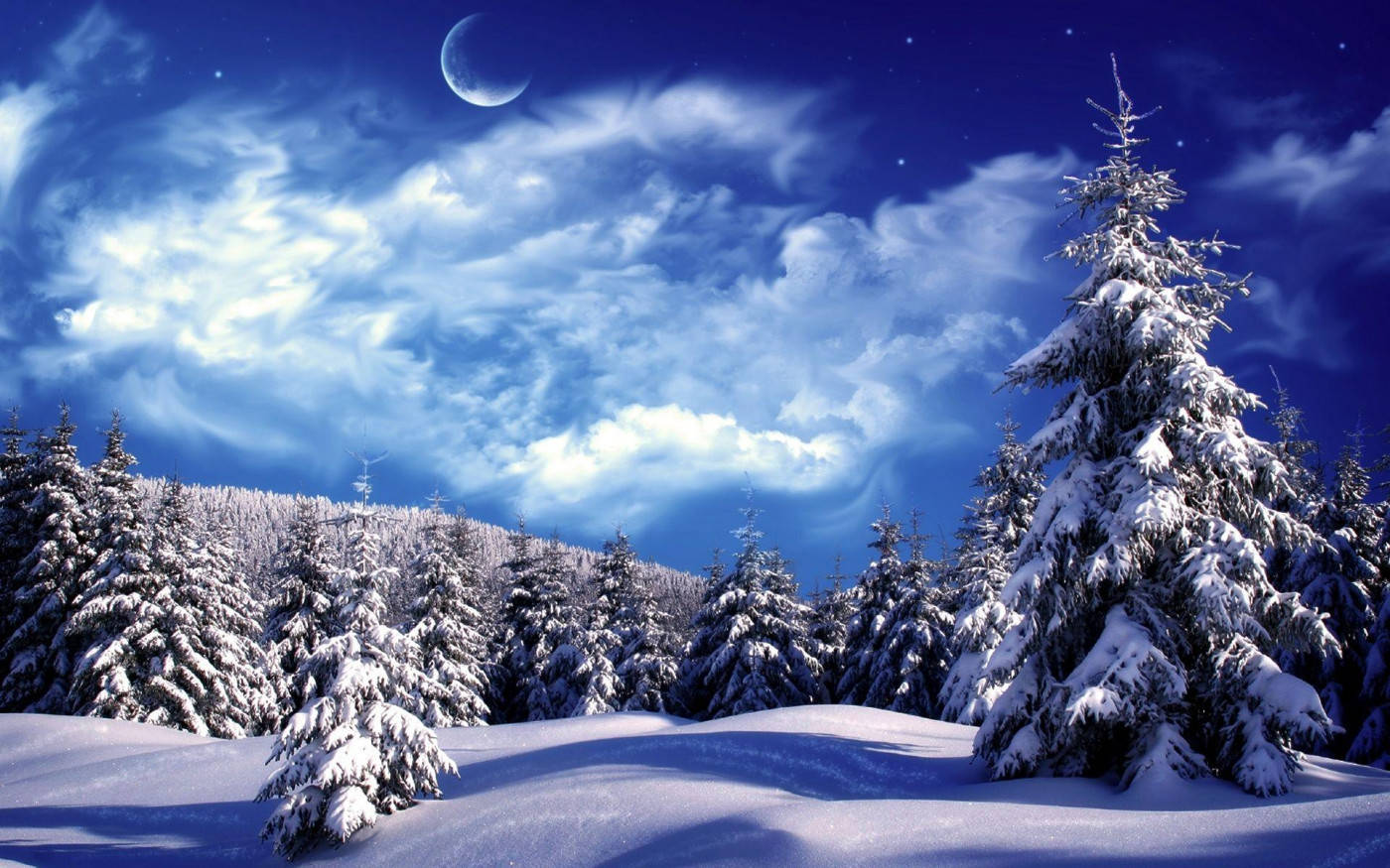 Winter Scene Cloudy Sky Wallpaper