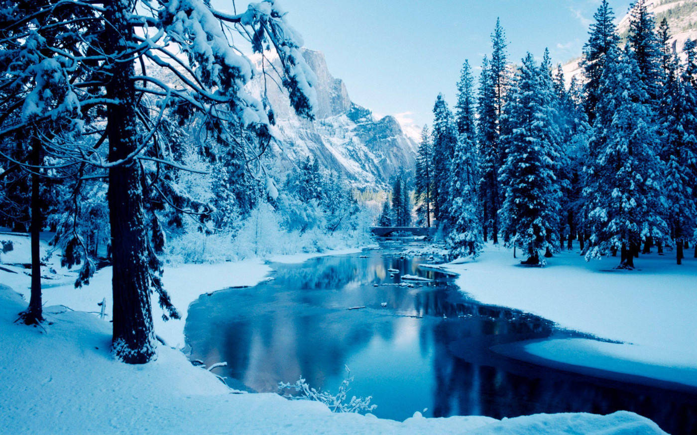 Winter Scene Cool Hue Wallpaper