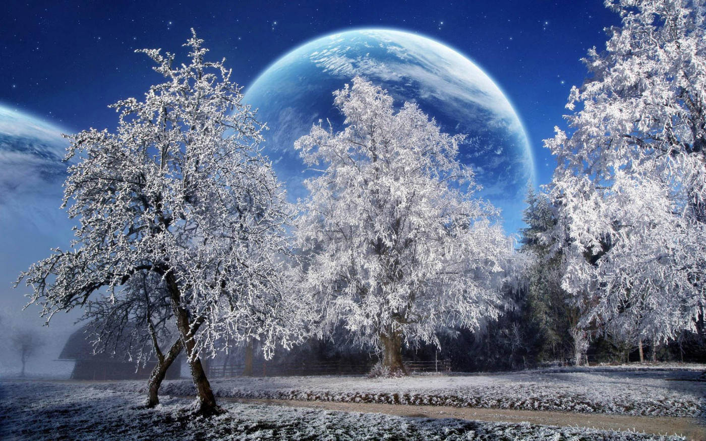 Winter Scene Fantasy Wallpaper