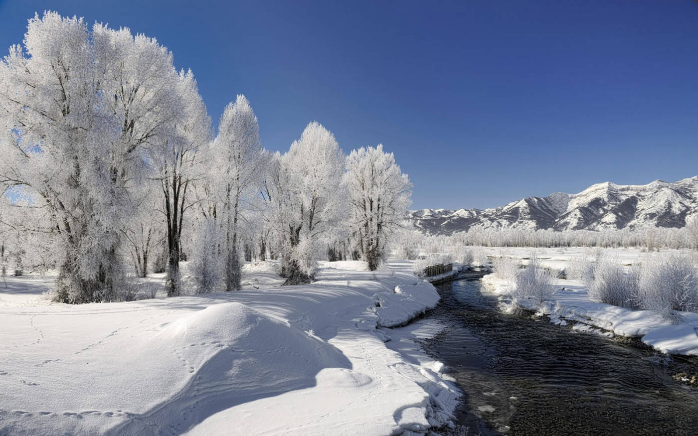 Winter Scene Frozen Nature Wallpaper