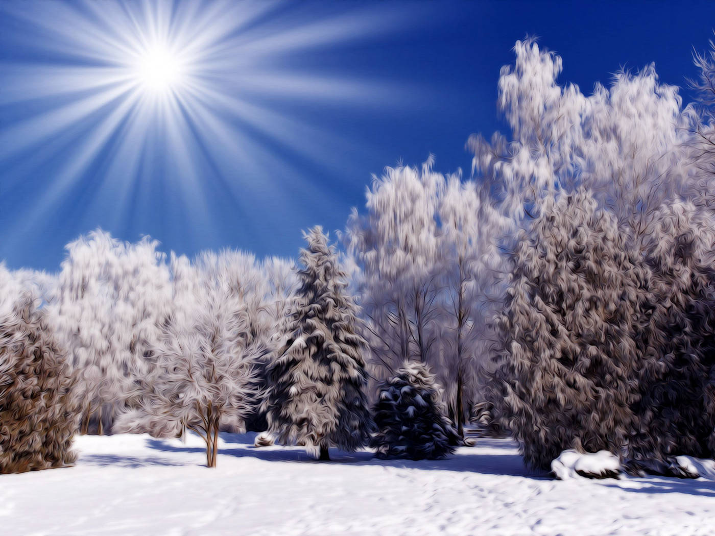 Winter Scene Shining Wallpaper