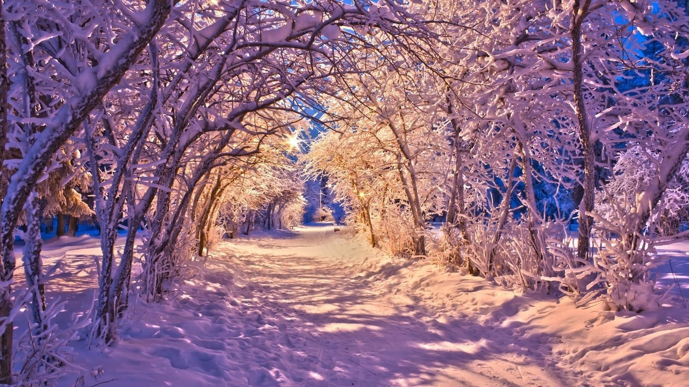 Winter Scene Tunnel Wallpaper