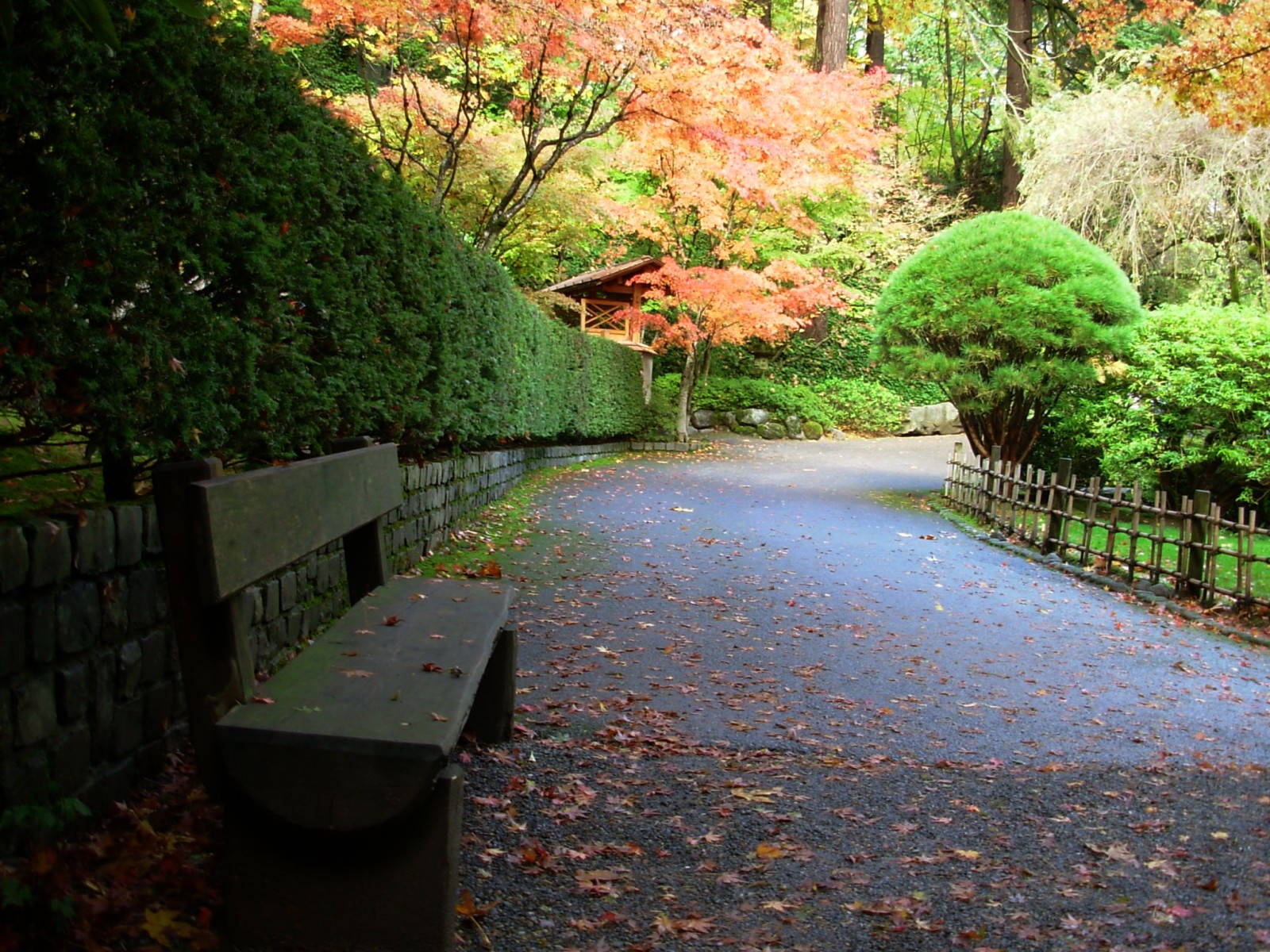 Wooden Park Bench Wallpaper