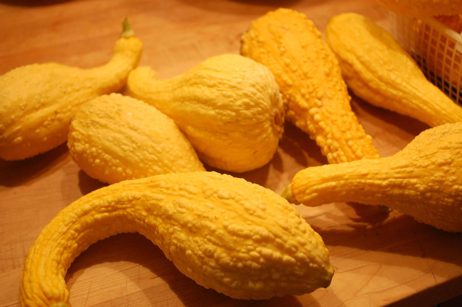 Wrinkly Yellow Squash Veggies Wallpaper