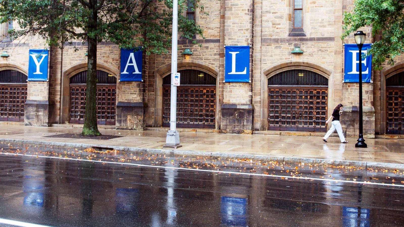 Yale University Banners Wallpaper