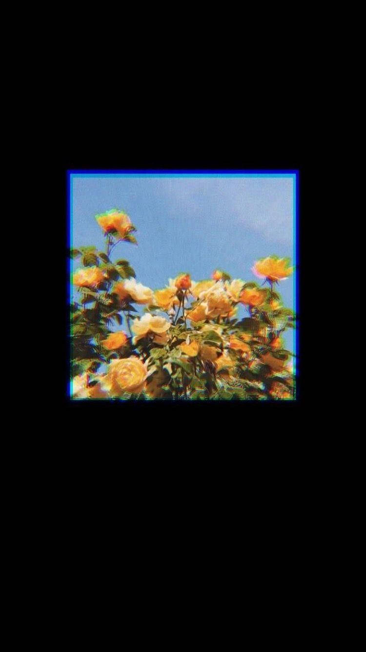 Yellow Roses Aesthetic Lockscreen Wallpaper