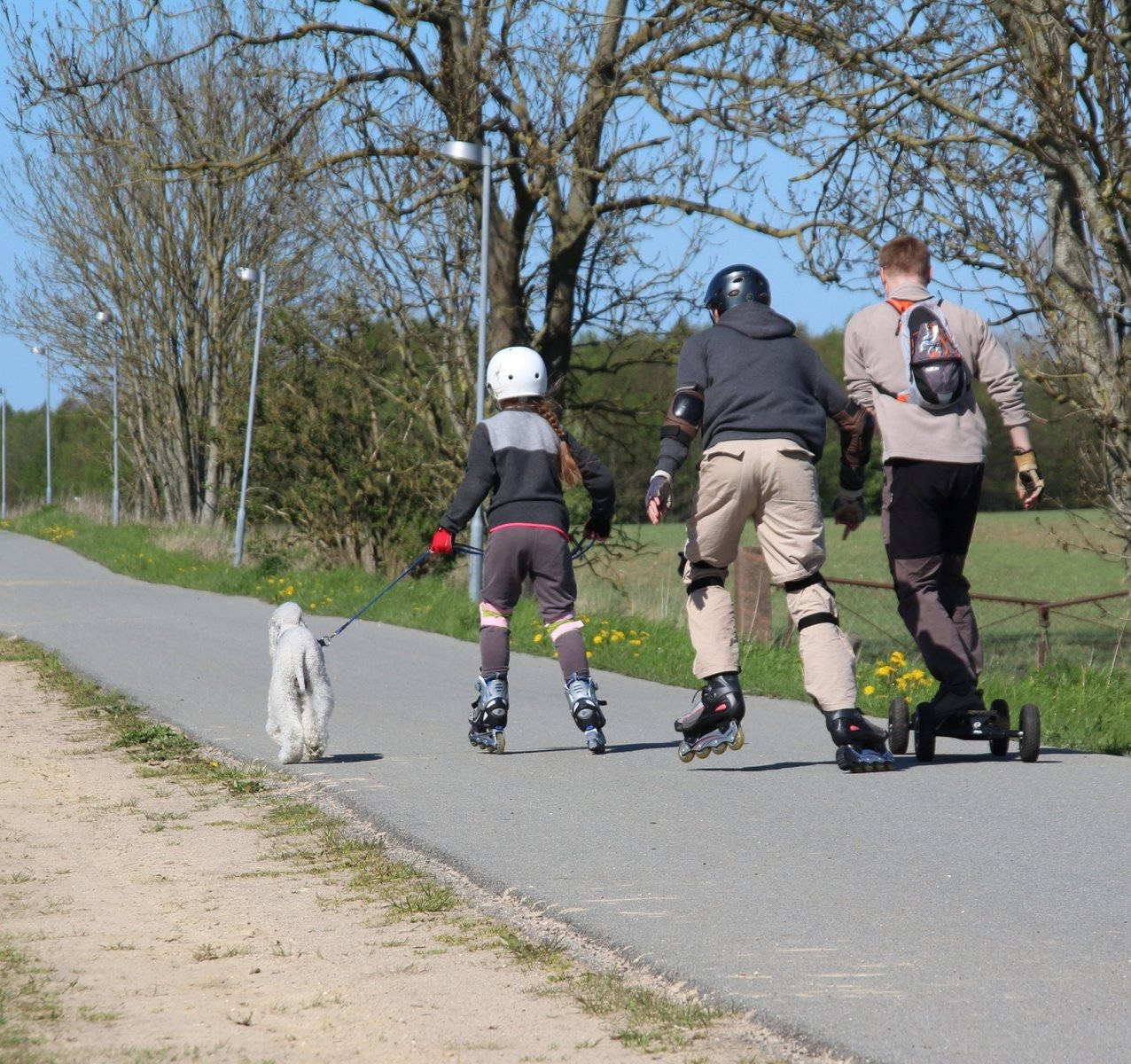 Young Boys Rollerblading With Dog Wallpaper