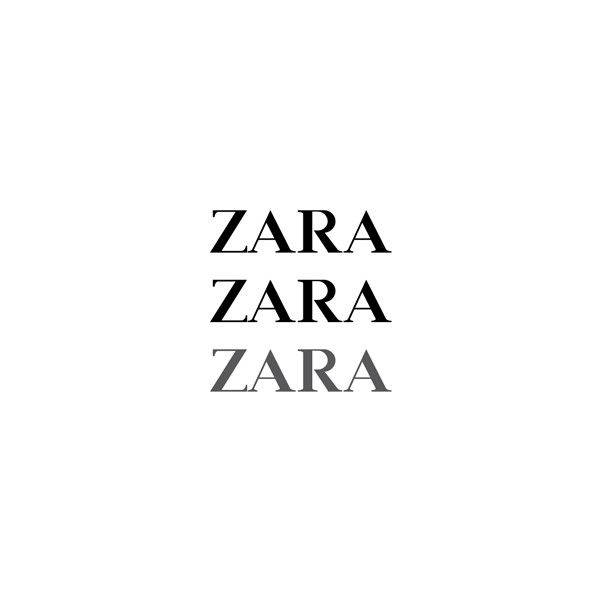 Zara Company Logo Art Wallpaper