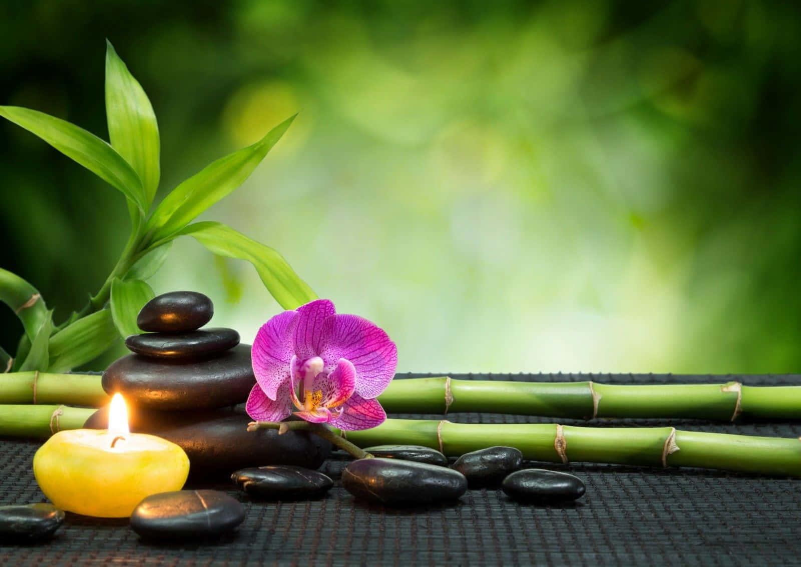 Zen Desktop Violet Flower With A Lit Candle Wallpaper