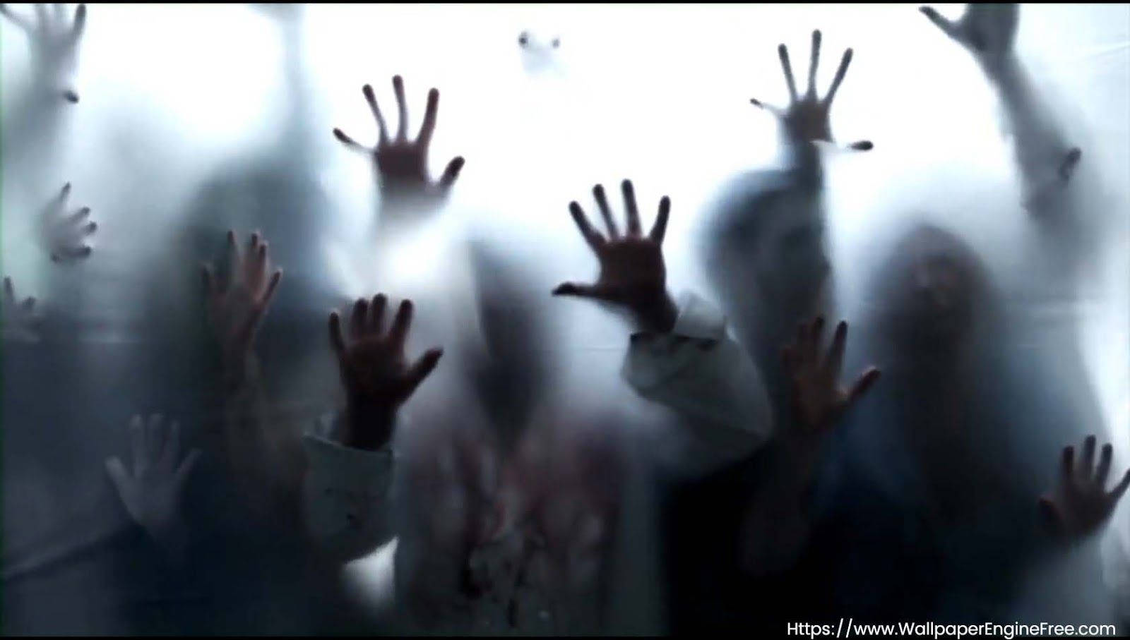 Zombie Hands In Window Wallpaper