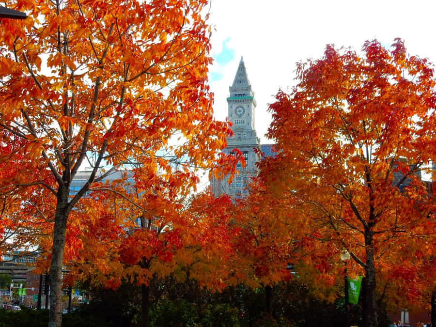 1024 X 768 Autumn Armenian Heritage Park Wallpaper