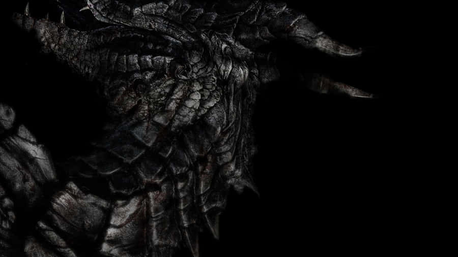 2560 X 1440 Skyrim Black Silver Dragon Wallpaper