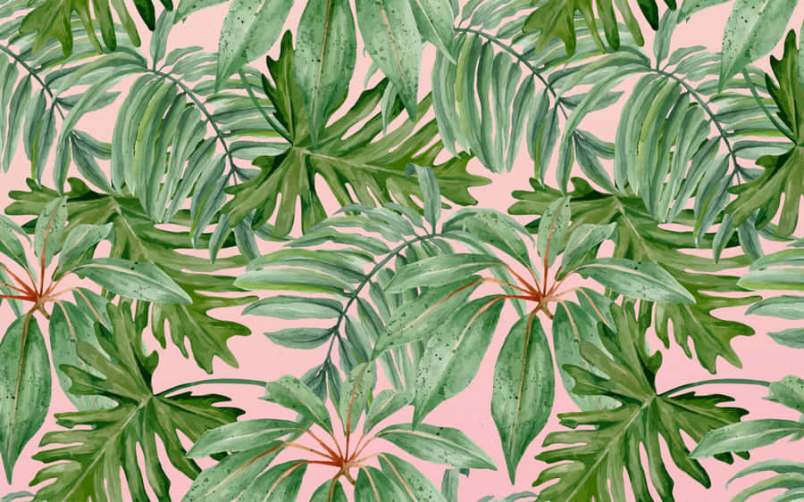 A Beautiful Background Of Tropical Leaves On A Computer Desktop Wallpaper