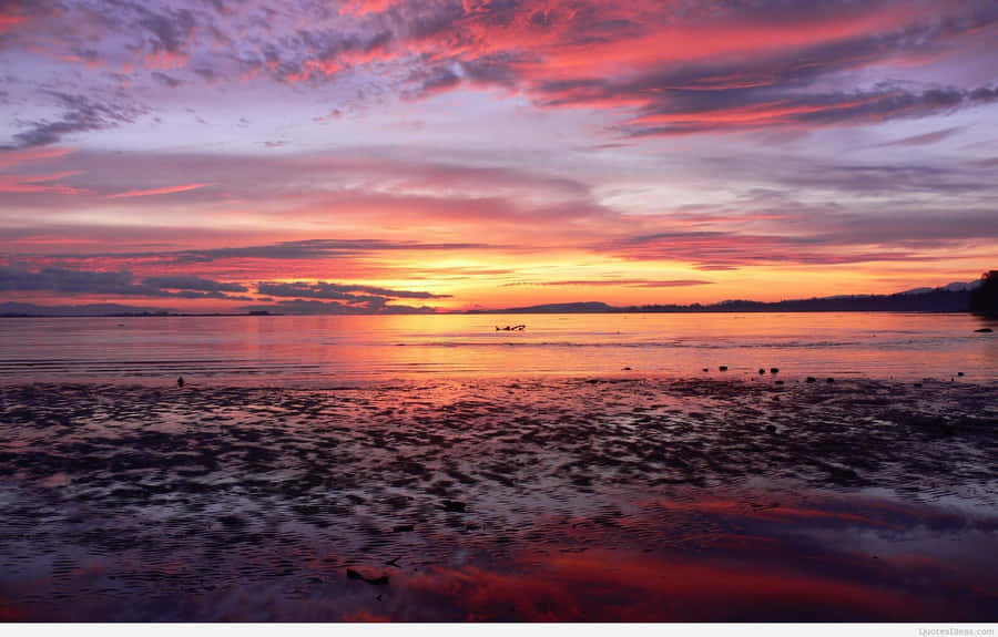 A Beautiful Sunset Wallpaper