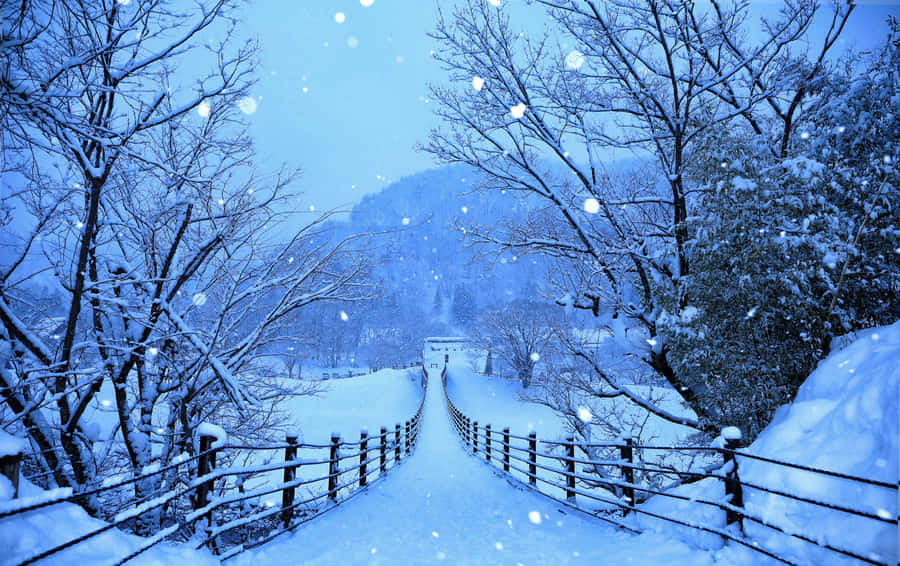 A Beautiful Winter Day Wallpaper