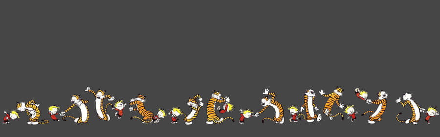 A Black Background With A Group Of Tigers Wallpaper