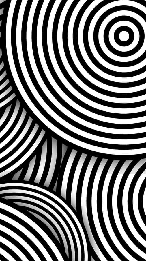 A Cleansing Minimalist Aesthetic