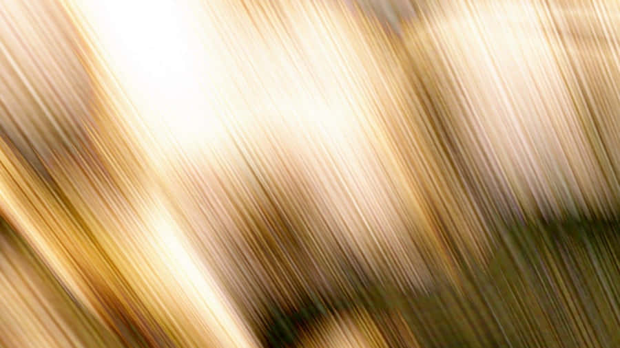 A Closer Look At Brown And White Wallpaper