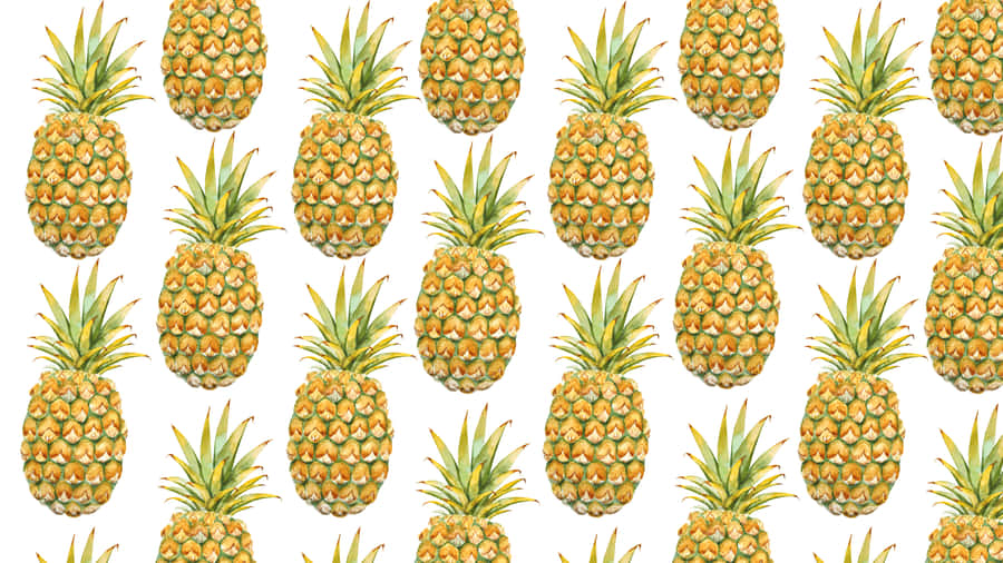 A Cute Summer Desktop Background Wallpaper