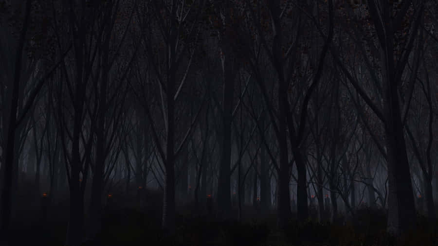 A Dark Forest With Trees And A Lamp Wallpaper
