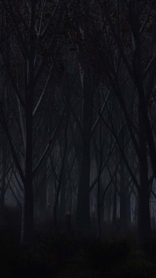 A Dark Forest With Trees And A Lamp Wallpaper