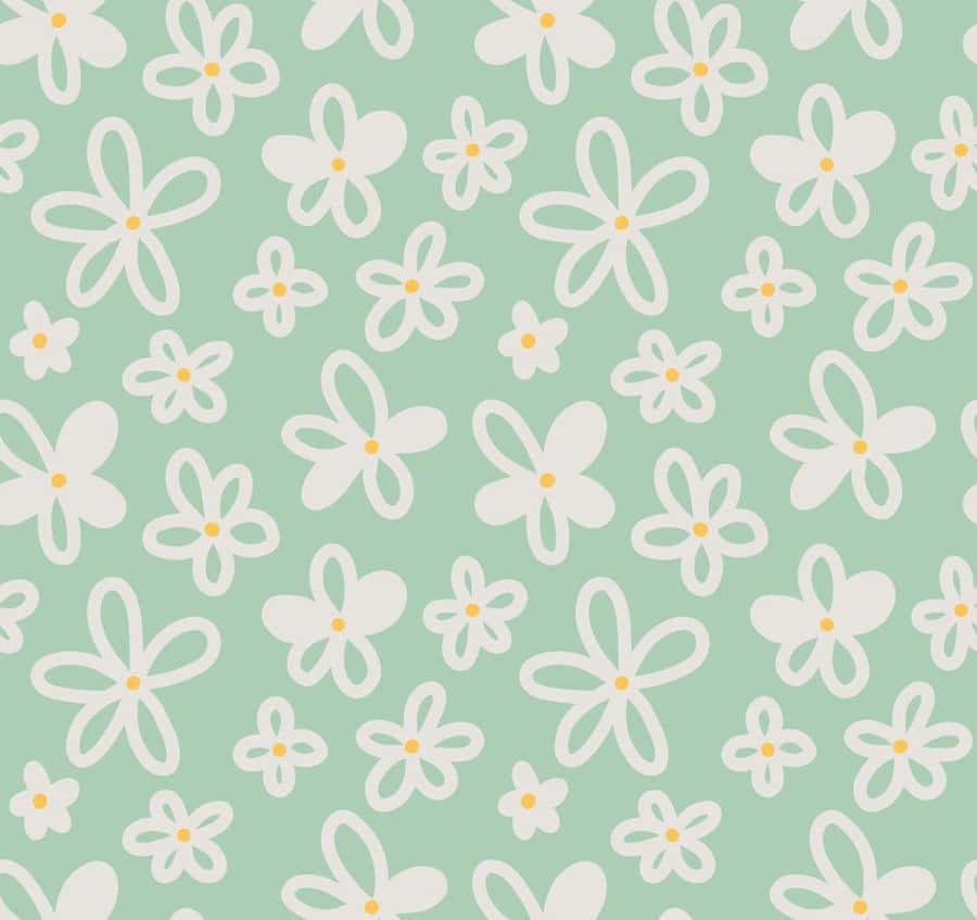 A Fresh, Pink Daisy In Nature's Beauty. Wallpaper