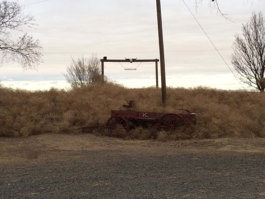 A Lone Tumbleweed In The Vast Desert Wallpaper