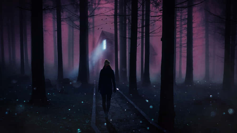 A Magical Night In The Forest Wallpaper