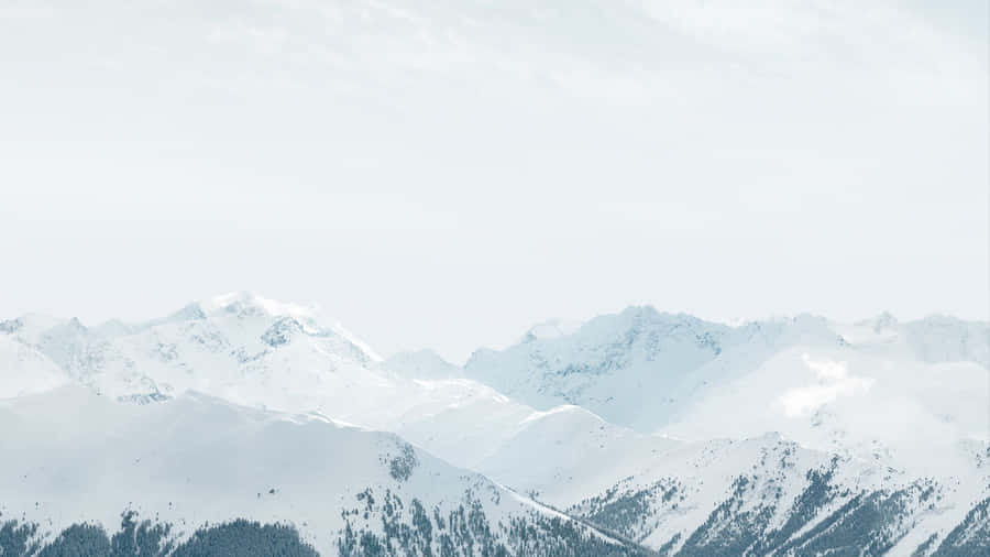 A Minimalist Apple Themed Desktop Wallpaper