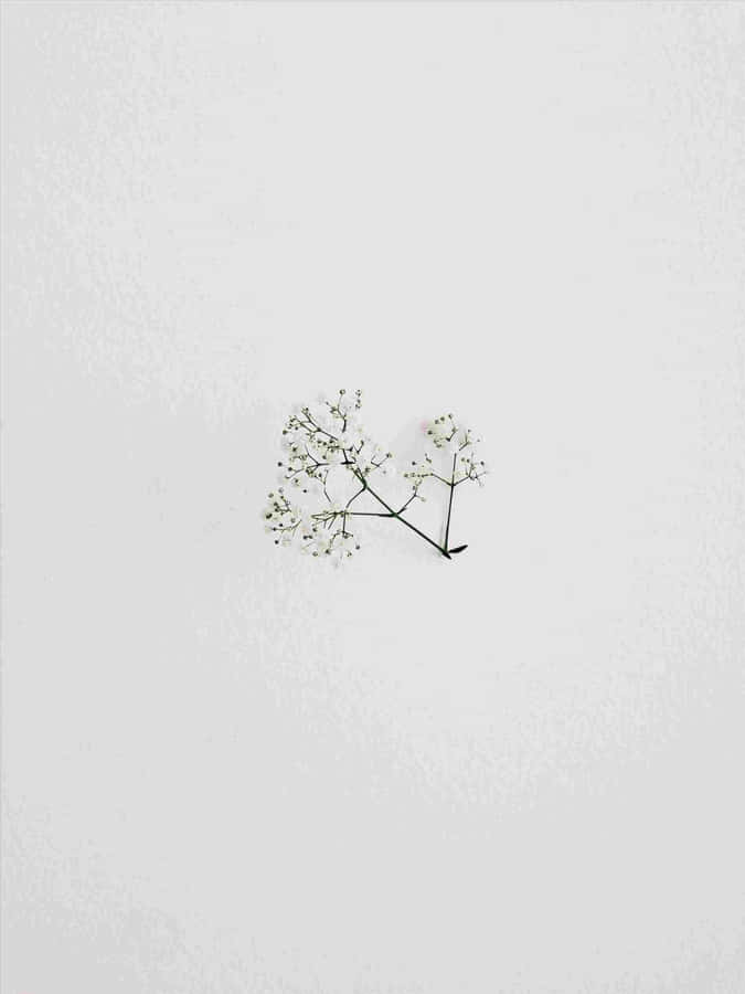 A Minimalist Drawing To Inspire Simplicity Wallpaper