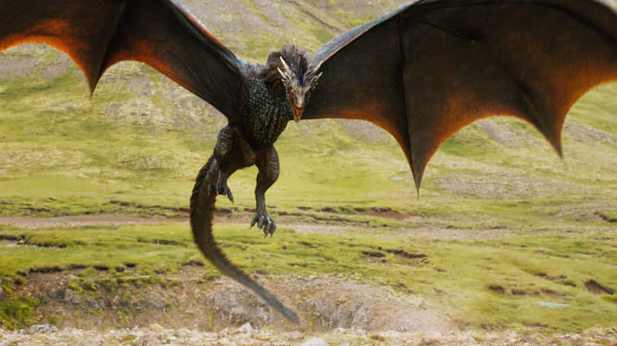 A Mystical Real Dragon Roaming The Earth Wallpaper