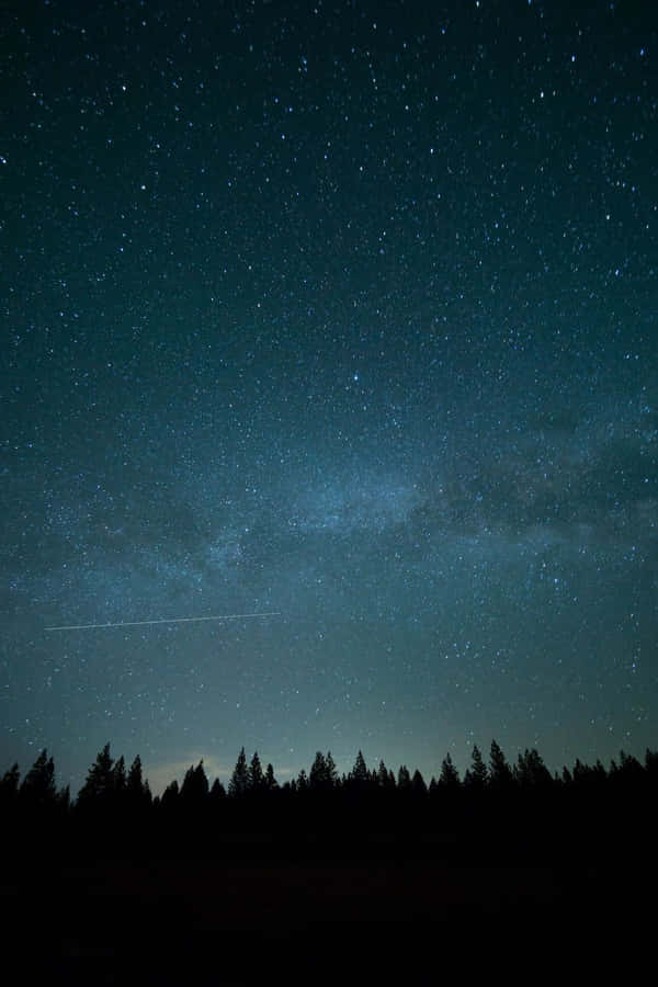 A Night Sky With Stars And Trees Wallpaper