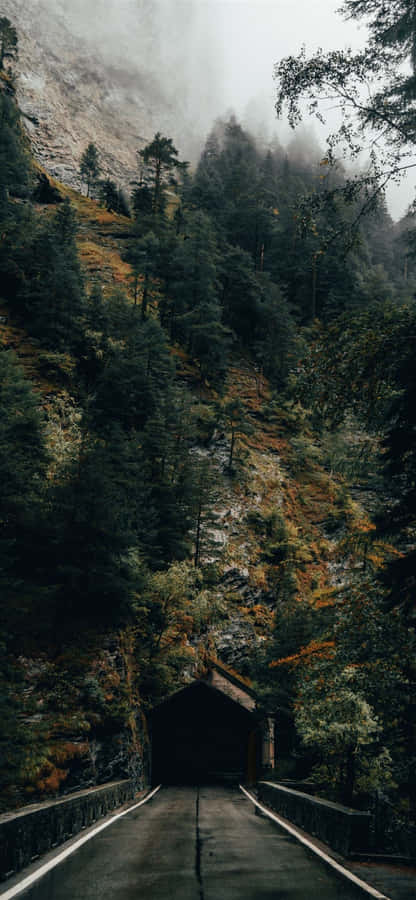 A Road In The Mountains With Trees And Fog Wallpaper