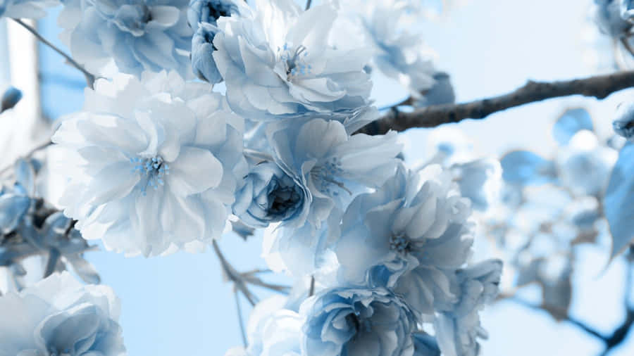 A Single Stunning Blue Flower On A Bright Green Background Wallpaper