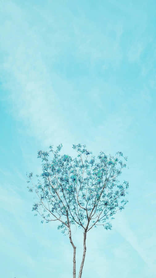A Single Tree In The Middle Of A Field Wallpaper