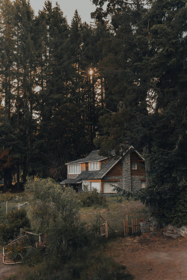 A Small Cottage Sits Peacefully In The Midst Of A Dense Forest At Sunrise. Wallpaper
