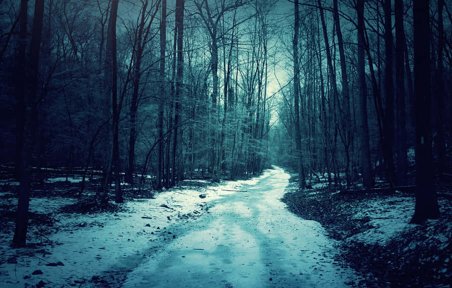 A Snowy Path In The Woods With A Dark Sky Wallpaper