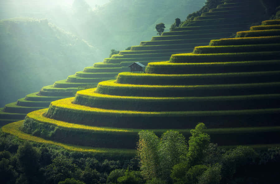 A Tranquil Scene Of Forest, Lake, And Mountain. Wallpaper