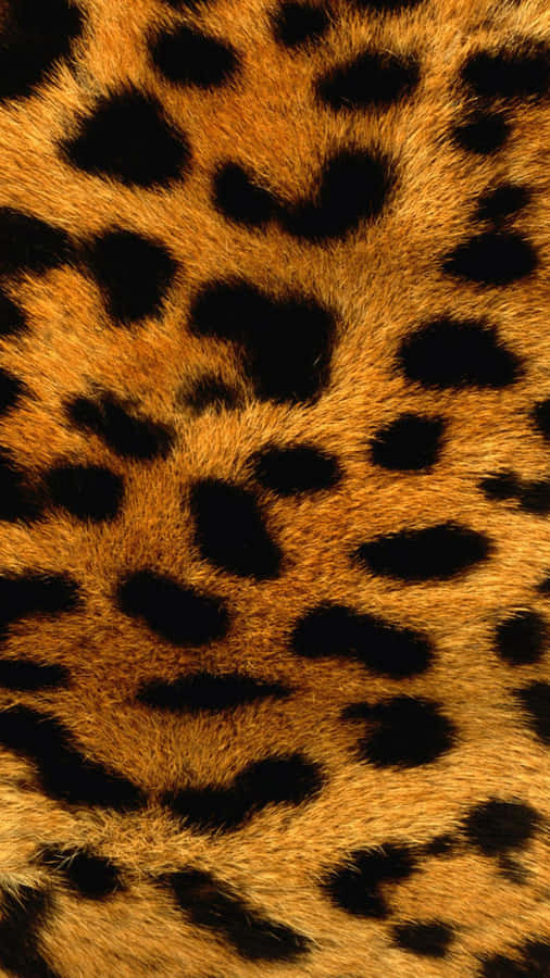 A Unique Iphone X With A Spirited Animal Print Design Wallpaper
