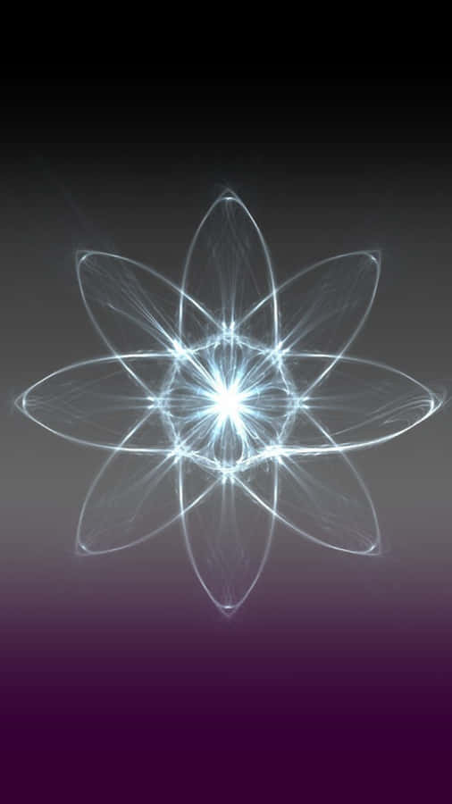 A White Flower With A Light Shining Through It Wallpaper