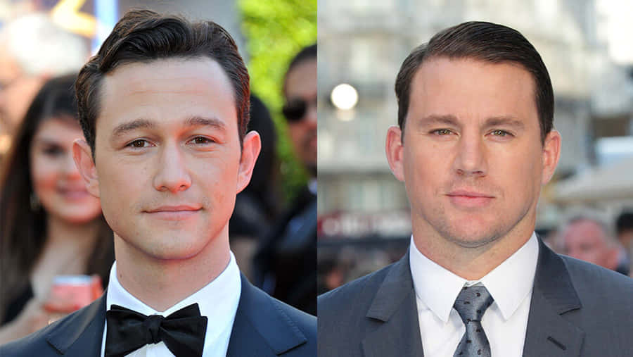 Actor Joseph Gordon-levitt On The Red Carpet Wallpaper